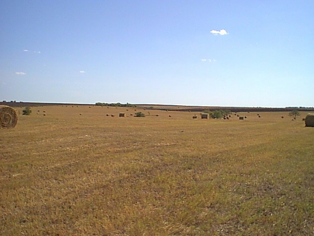 Bickham Ranch Hay Field